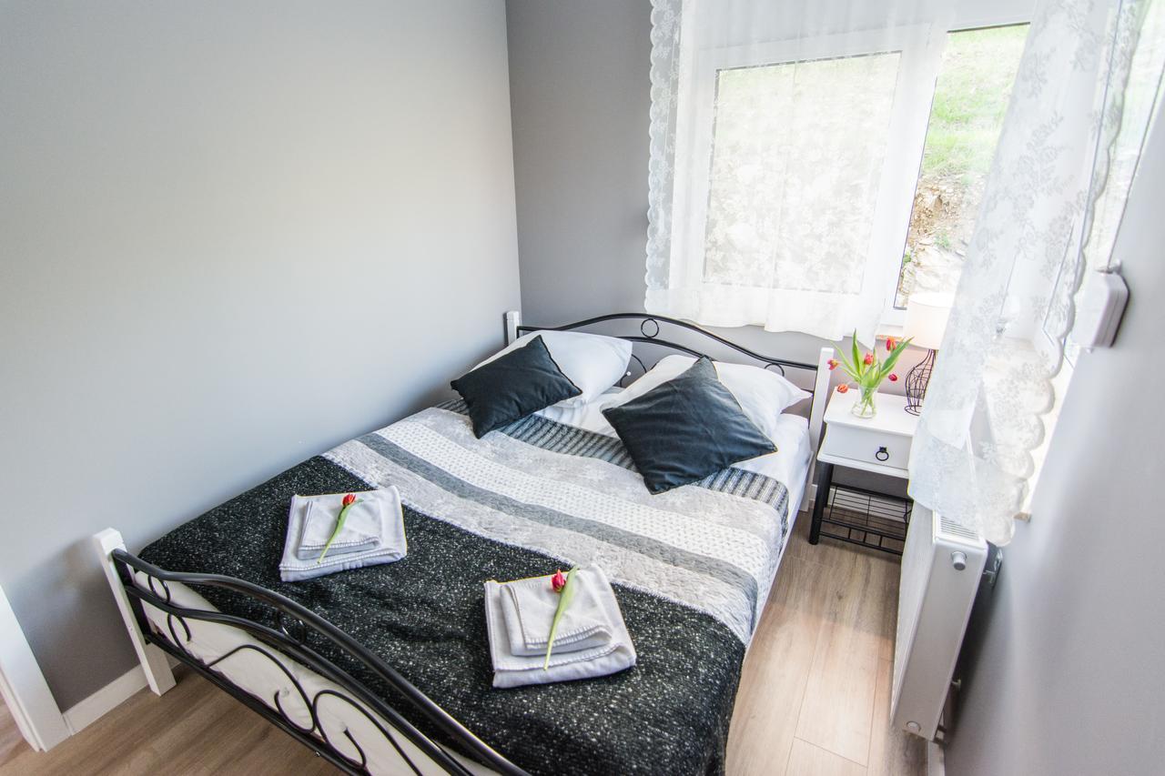 Apartamenty Izerskie - Ul. Cicha 13H-I Świeradów-Zdrój Extérieur photo