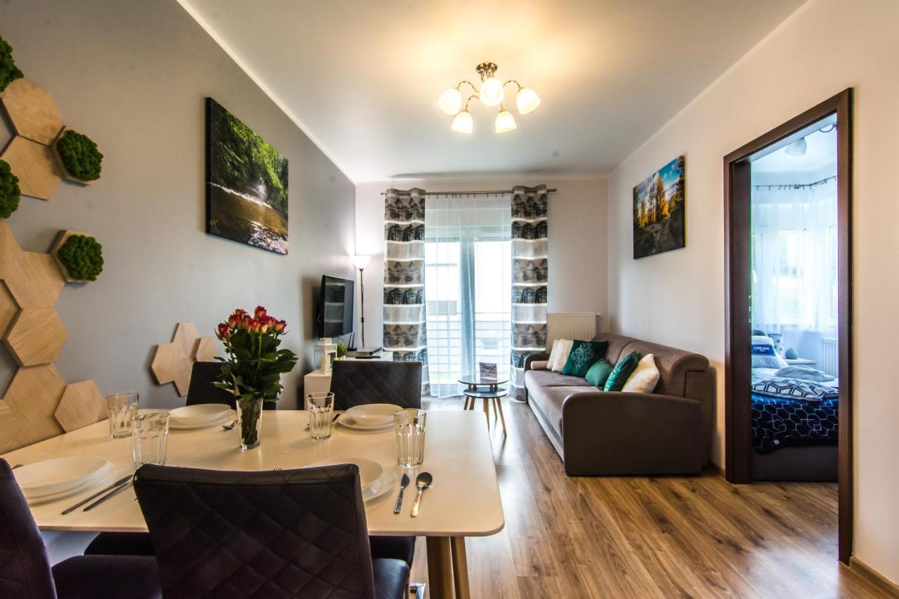 Apartamenty Izerskie - Ul. Cicha 13H-I Świeradów-Zdrój Extérieur photo